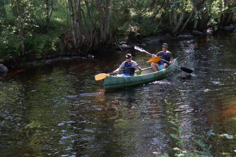 rafters