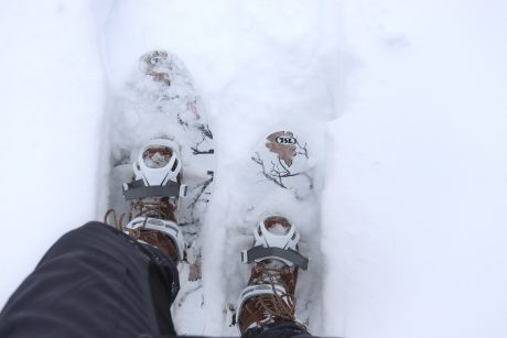 Snow shoes