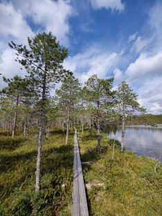 Metsäpeuranmaan tapahtumat 4.-6.7.2025