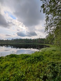 Ruutanan järvi.