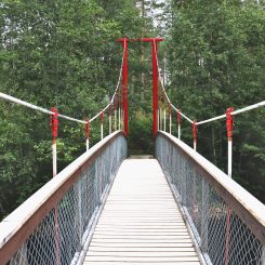 Anttila suspension bridge.