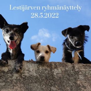 Lestijärven ryhmänäyttely 28.5.2022 - ilmoittautuminen käynnissä