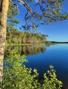 Kesäinen ulkoilupäivä Valkeisella 4.6.2025