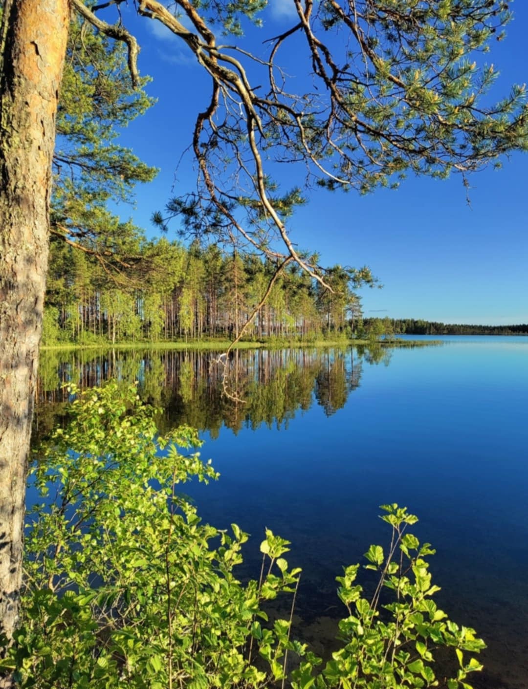 Kesäinen ulkoilupäivä Valkeisella 4.6.2025